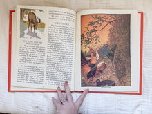 Load image into Gallery viewer, Aesop's Fables