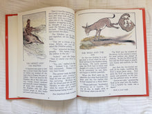 Load image into Gallery viewer, Aesop's Fables