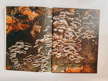 Load image into Gallery viewer, Mushrooms and Fungi Coffee Table Book
