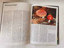 Load image into Gallery viewer, Mushrooms and Fungi Coffee Table Book