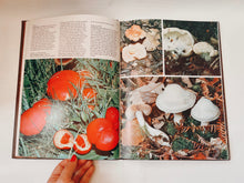 Load image into Gallery viewer, Mushrooms and Fungi Coffee Table Book
