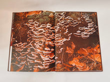 Load image into Gallery viewer, Mushrooms and Fungi Coffee Table Book