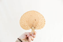 Load image into Gallery viewer, Pair of Raffia Fans