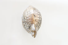 Load image into Gallery viewer, Pair of Vintage Brass Quail