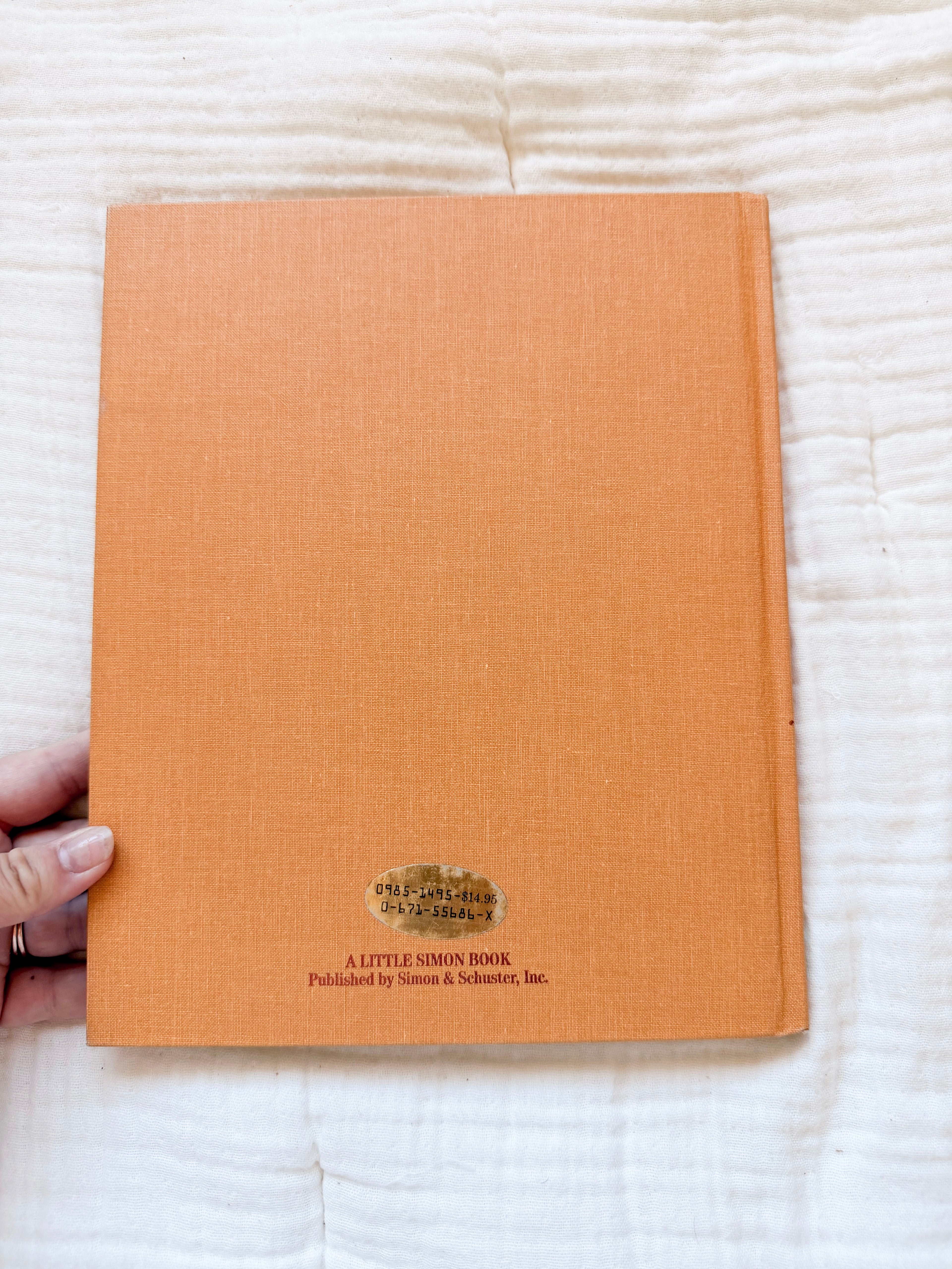 The Old Fashioned Story Book