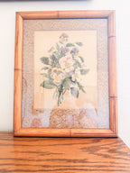 Framed Botanical Print