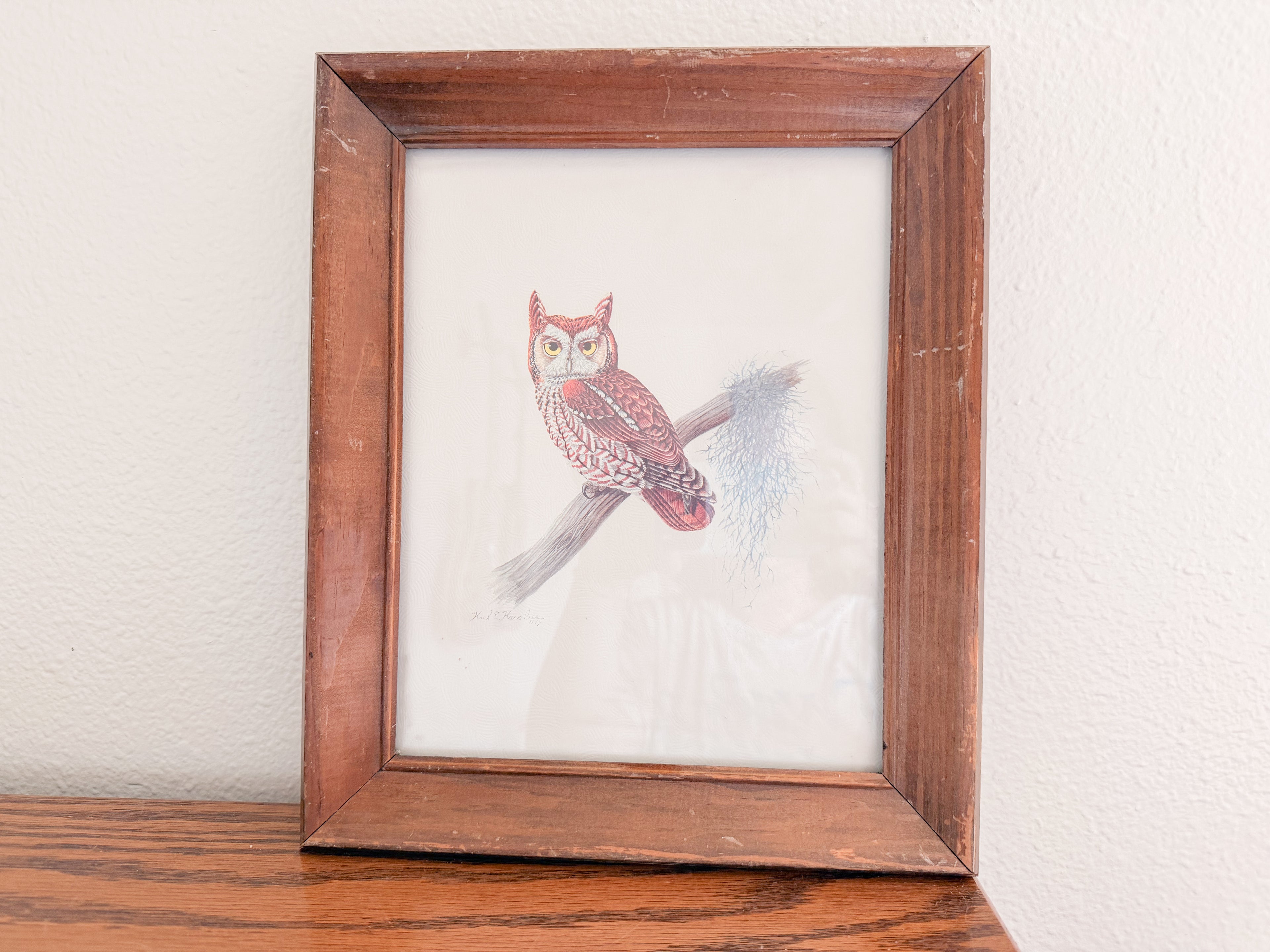 Framed Owl Print