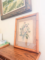 Framed Botanical Print