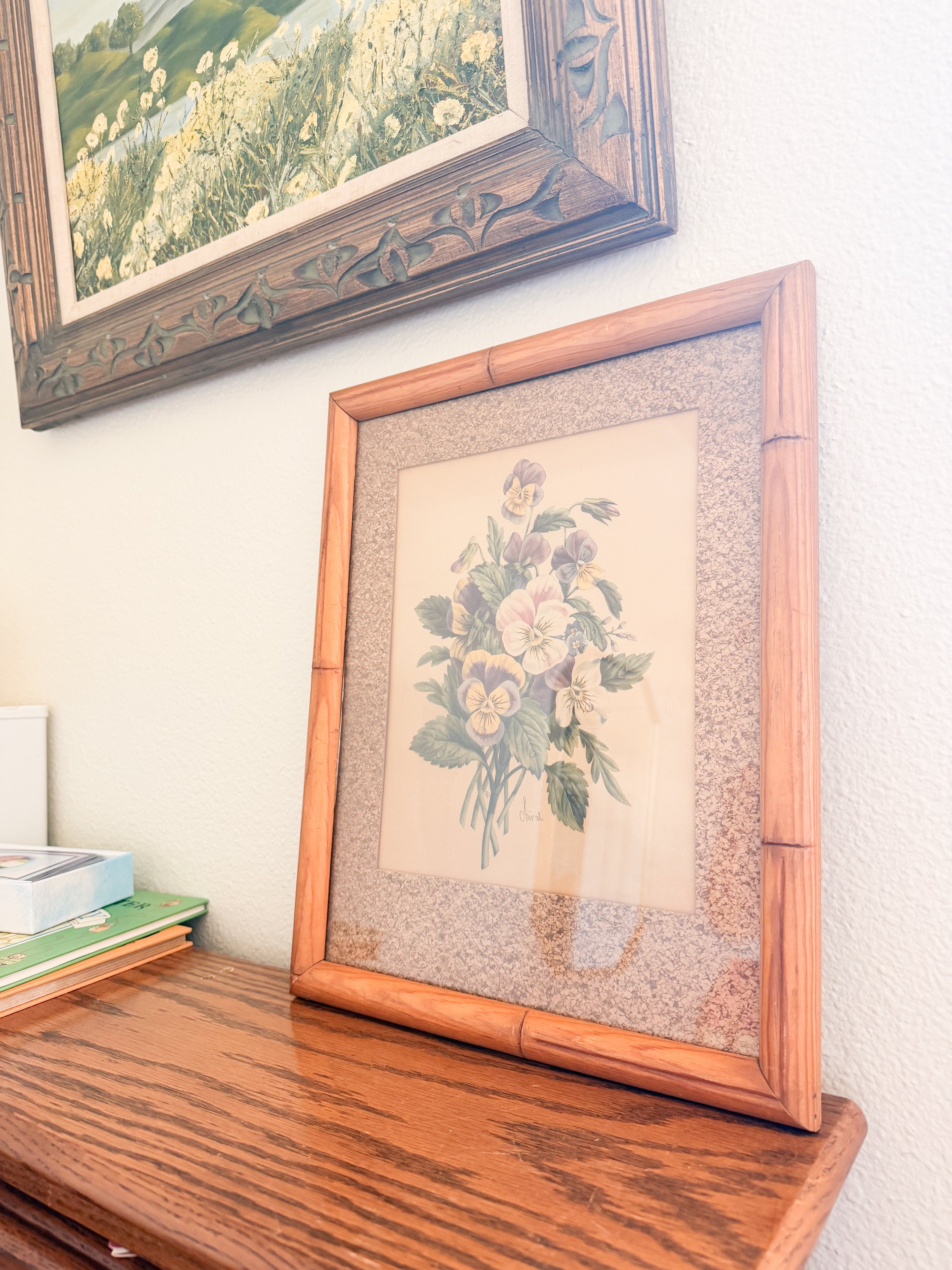 Framed Botanical Print
