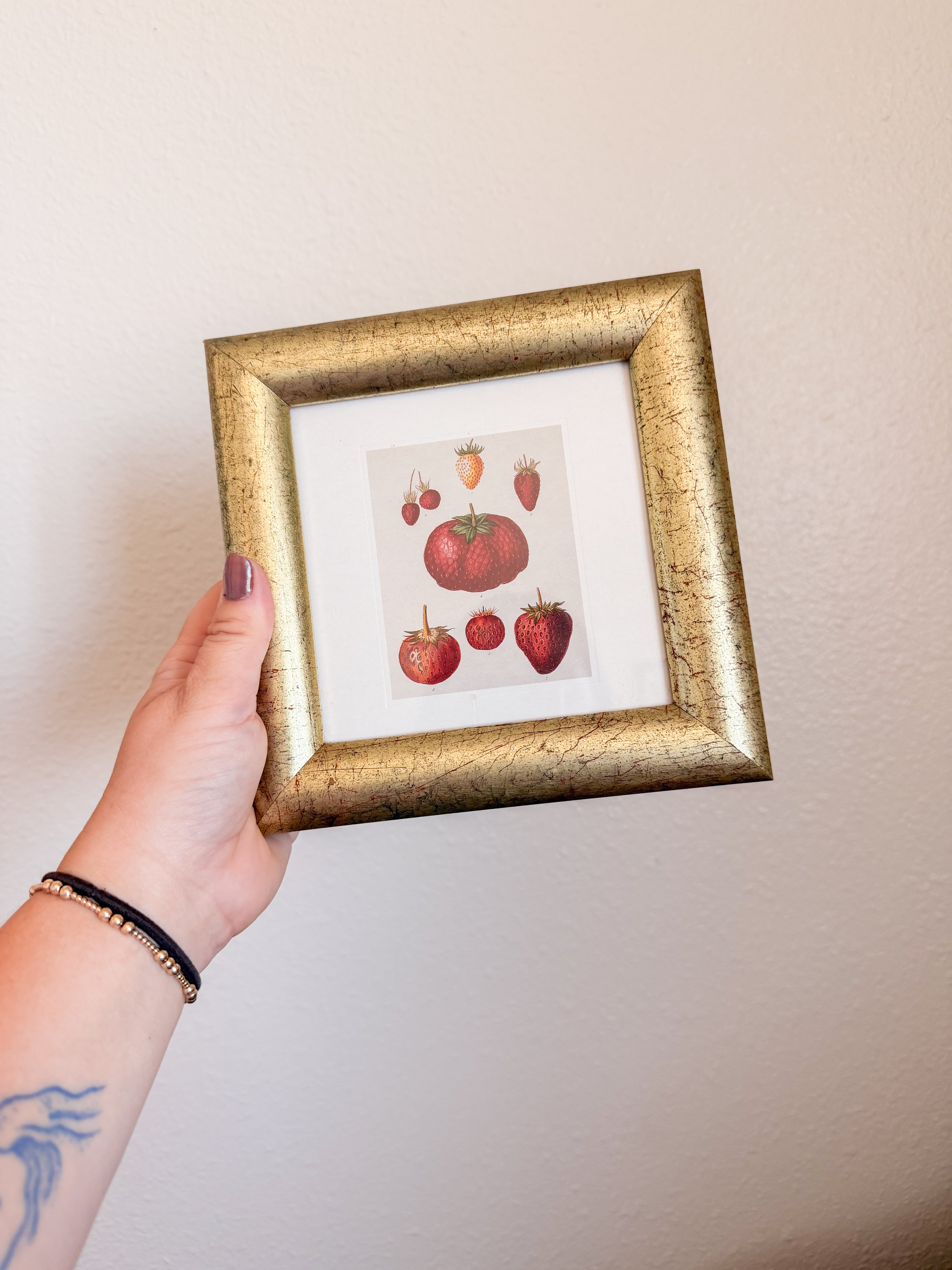 Framed Strawberry Print