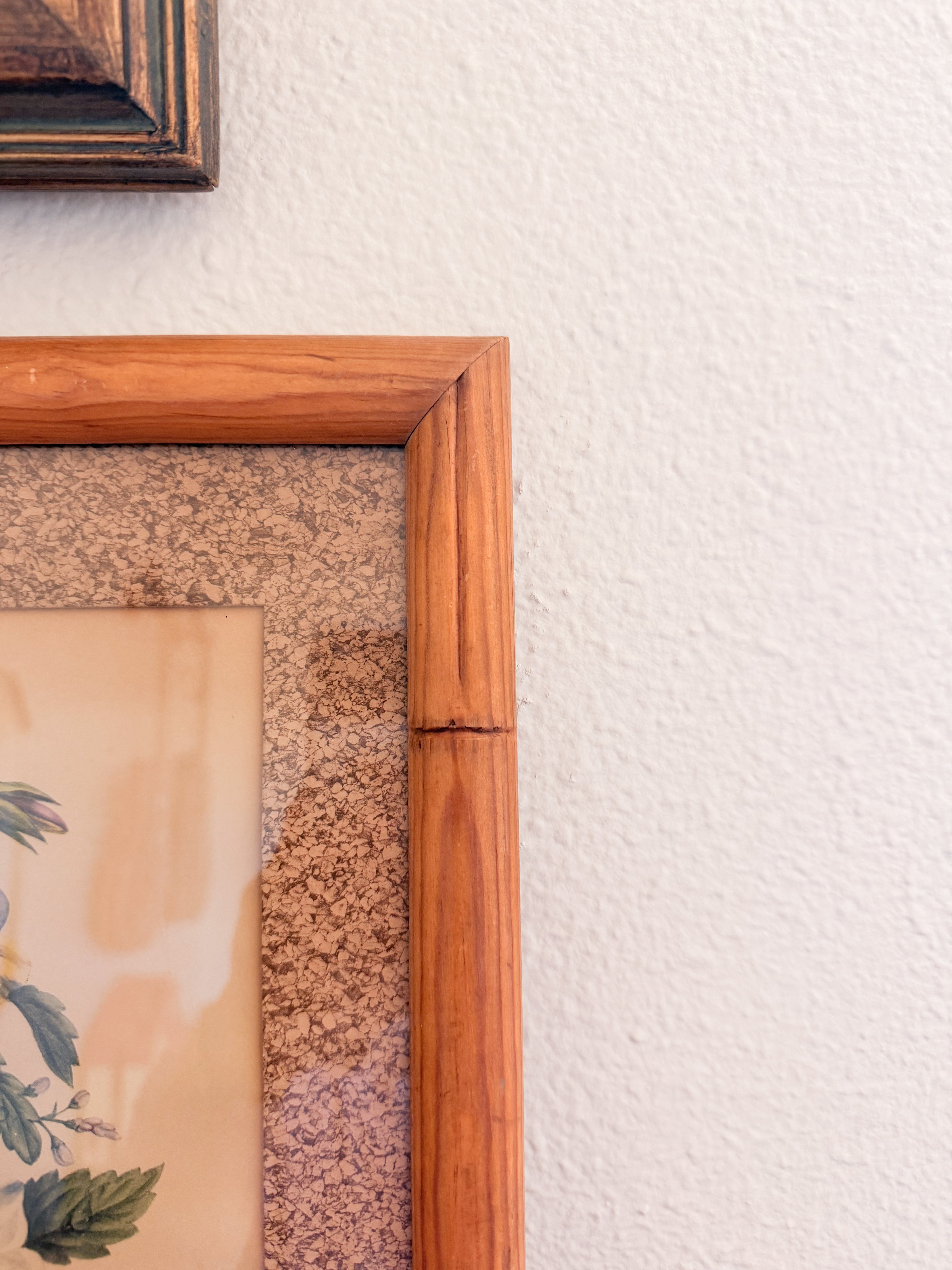 Framed Botanical Print