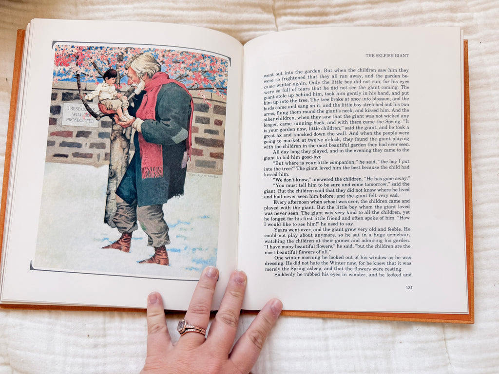 The Old Fashioned Story Book