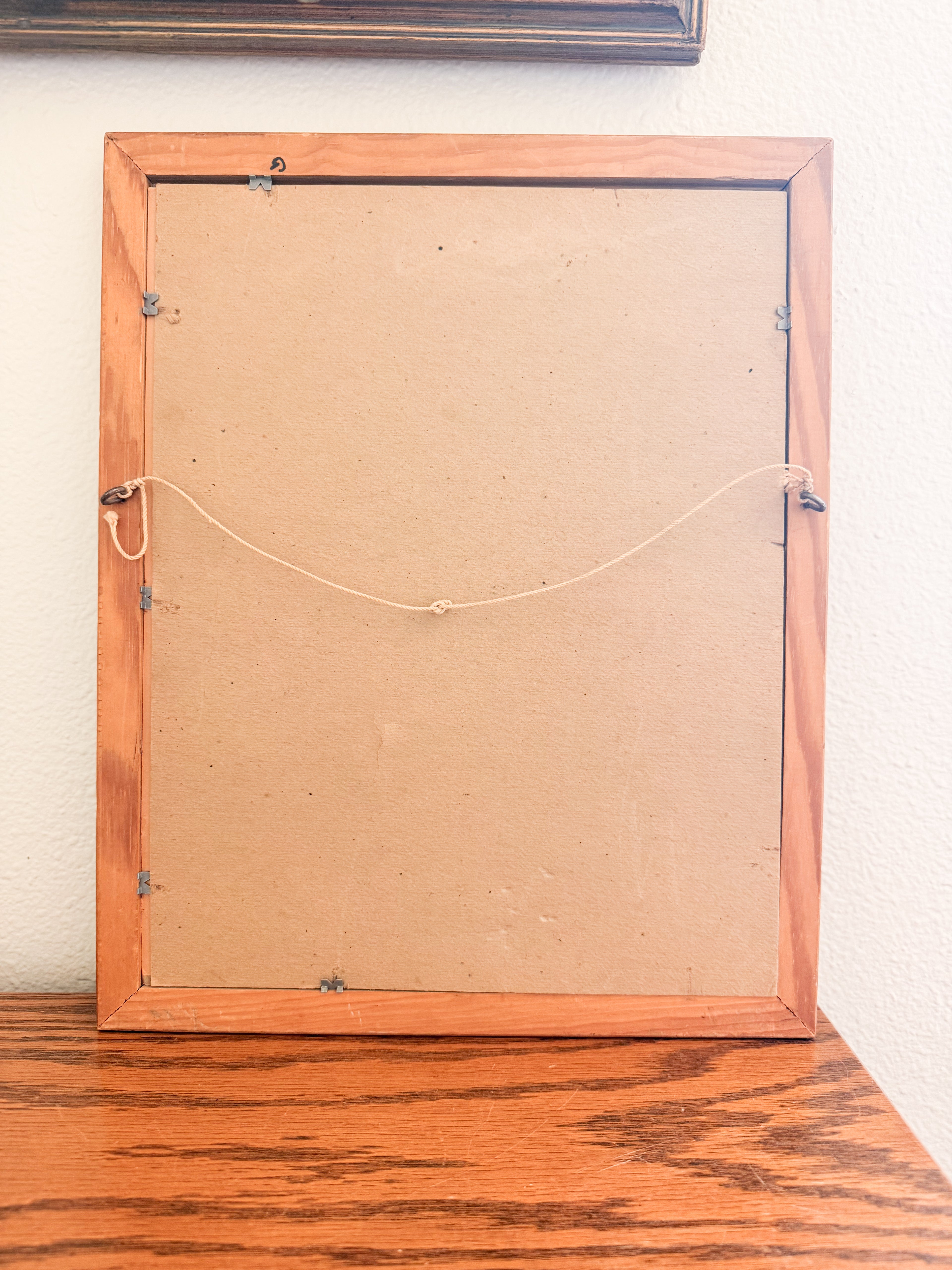 Framed Botanical Print