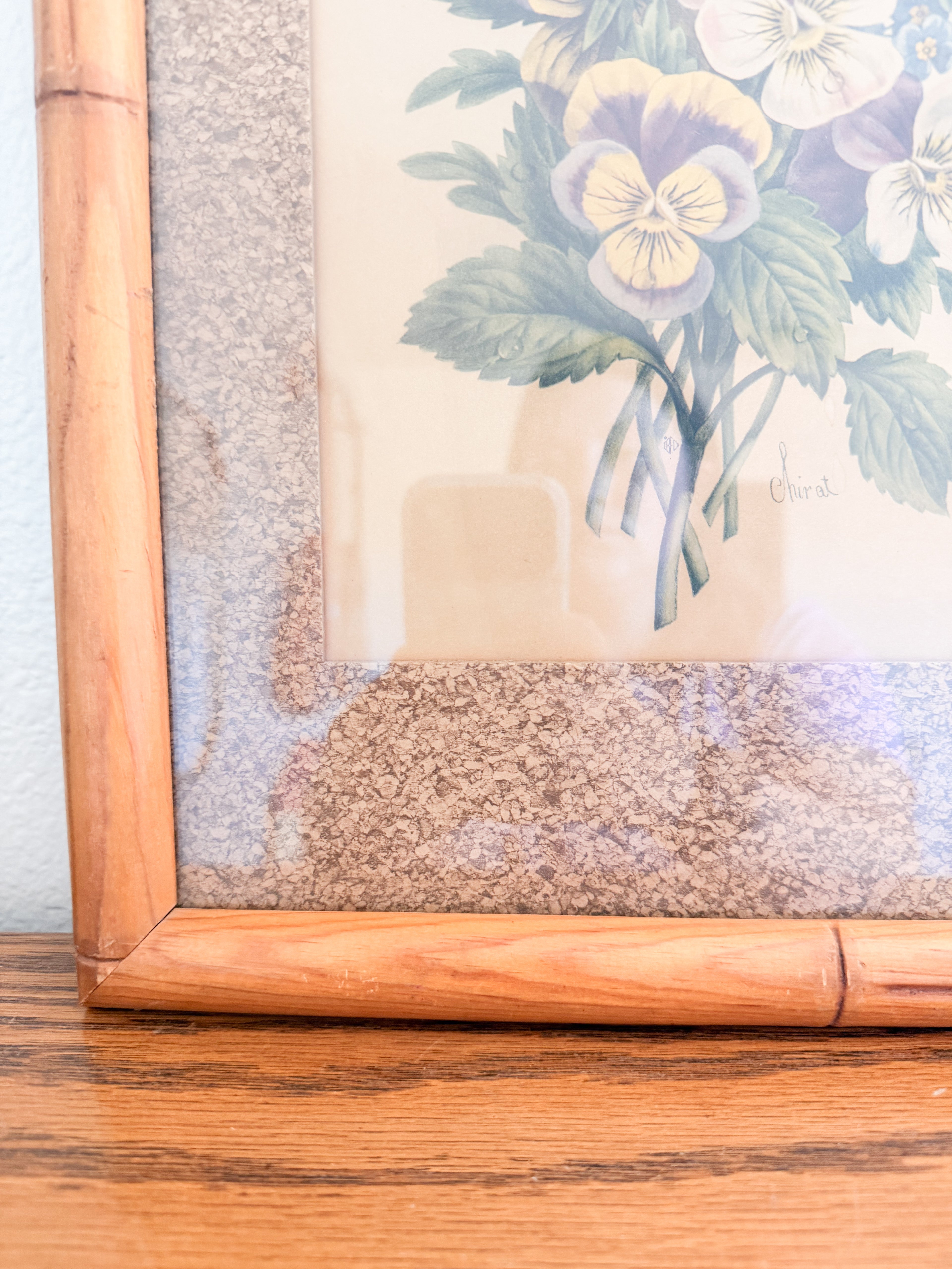 Framed Botanical Print