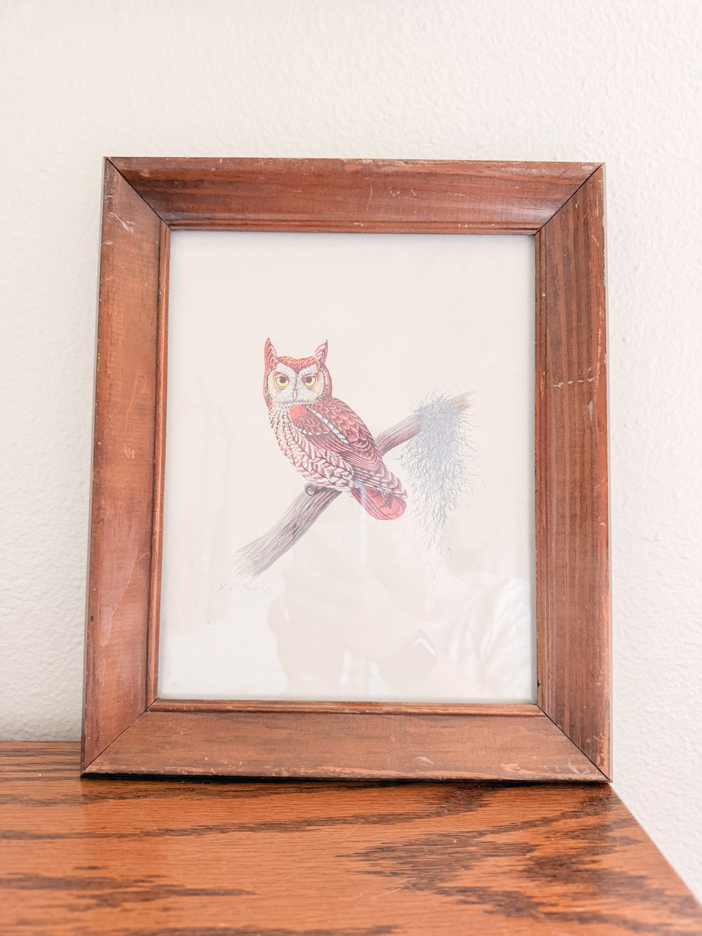 Framed Owl Print