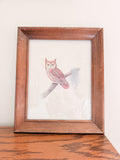 Framed Owl Print