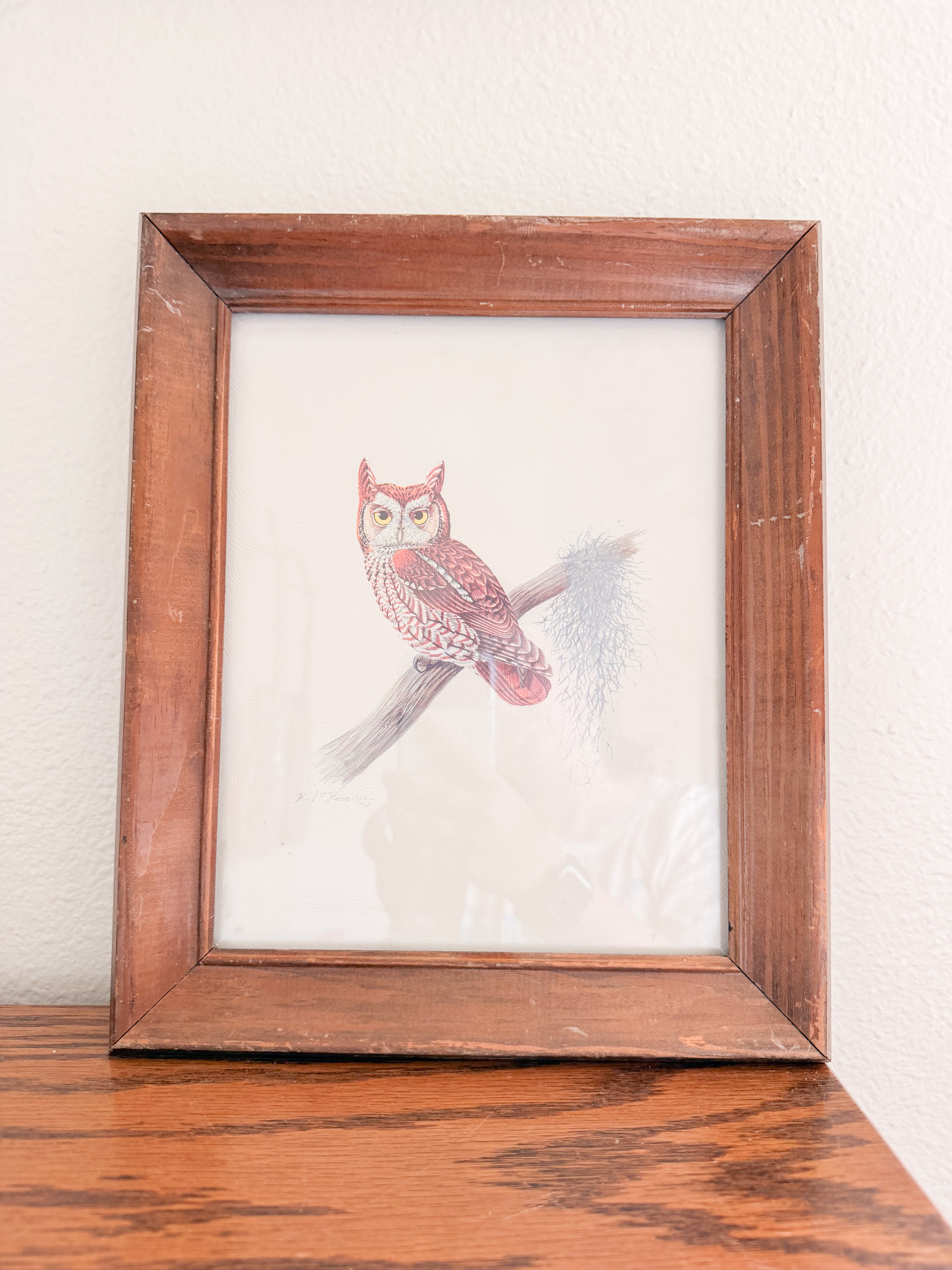 Framed Owl Print
