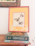 Vintage Pomegranate Painting