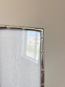 Silver Bamboo Frame
