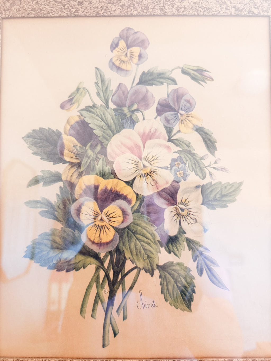 Framed Botanical Print