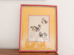 Vintage Pomegranate Painting
