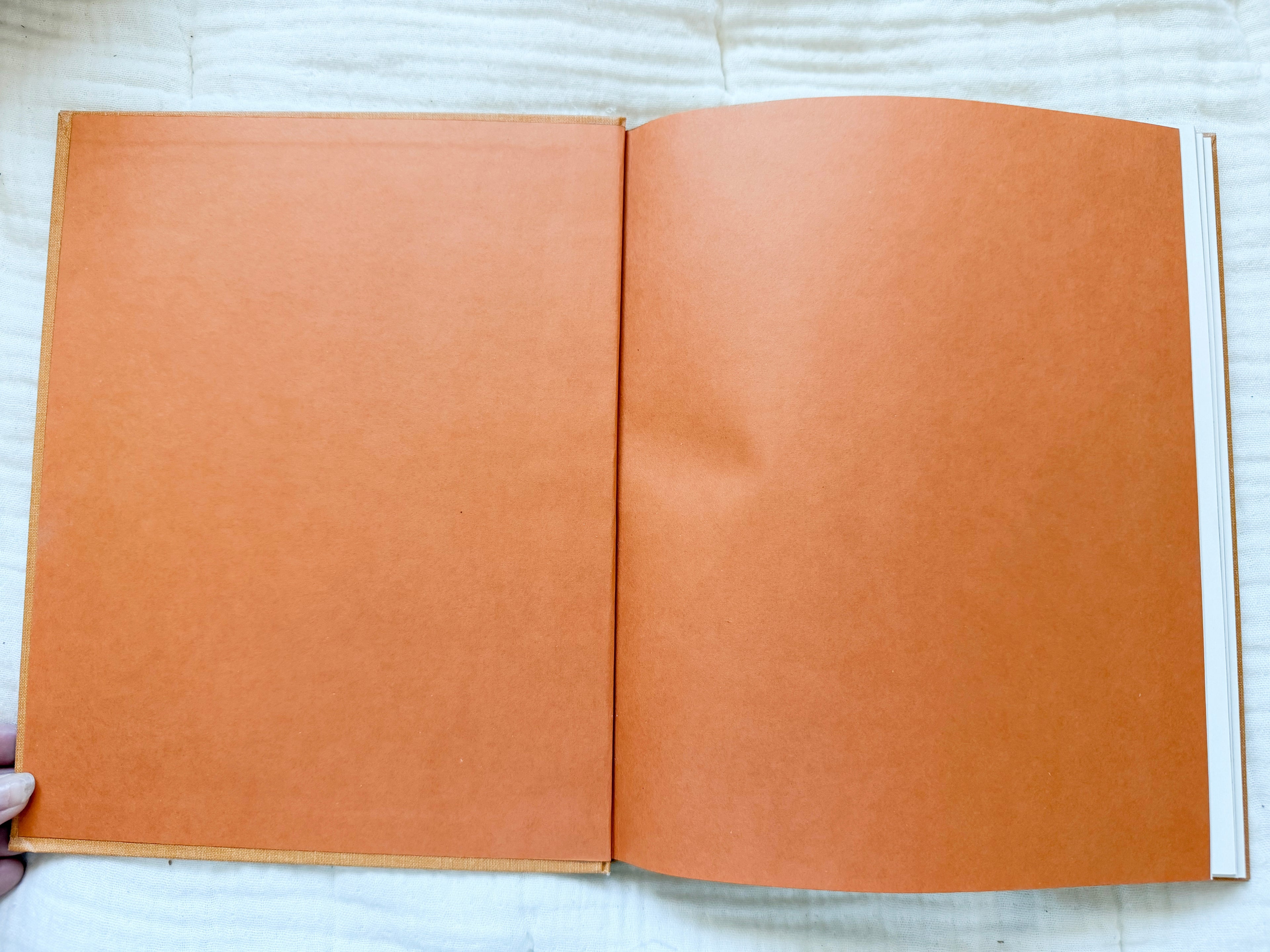 The Old Fashioned Story Book