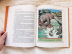 The Old Fashioned Story Book