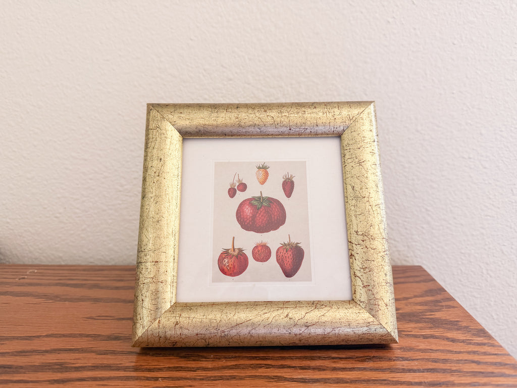 Framed Strawberry Print