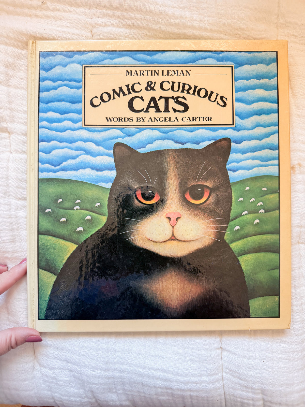 Comic and Curious Cats