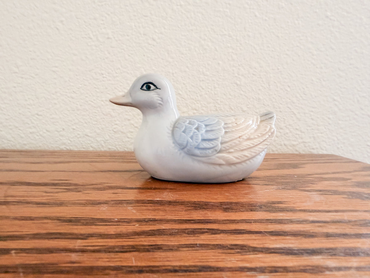 Little Porcelain Duck