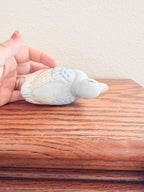 Little Porcelain Duck