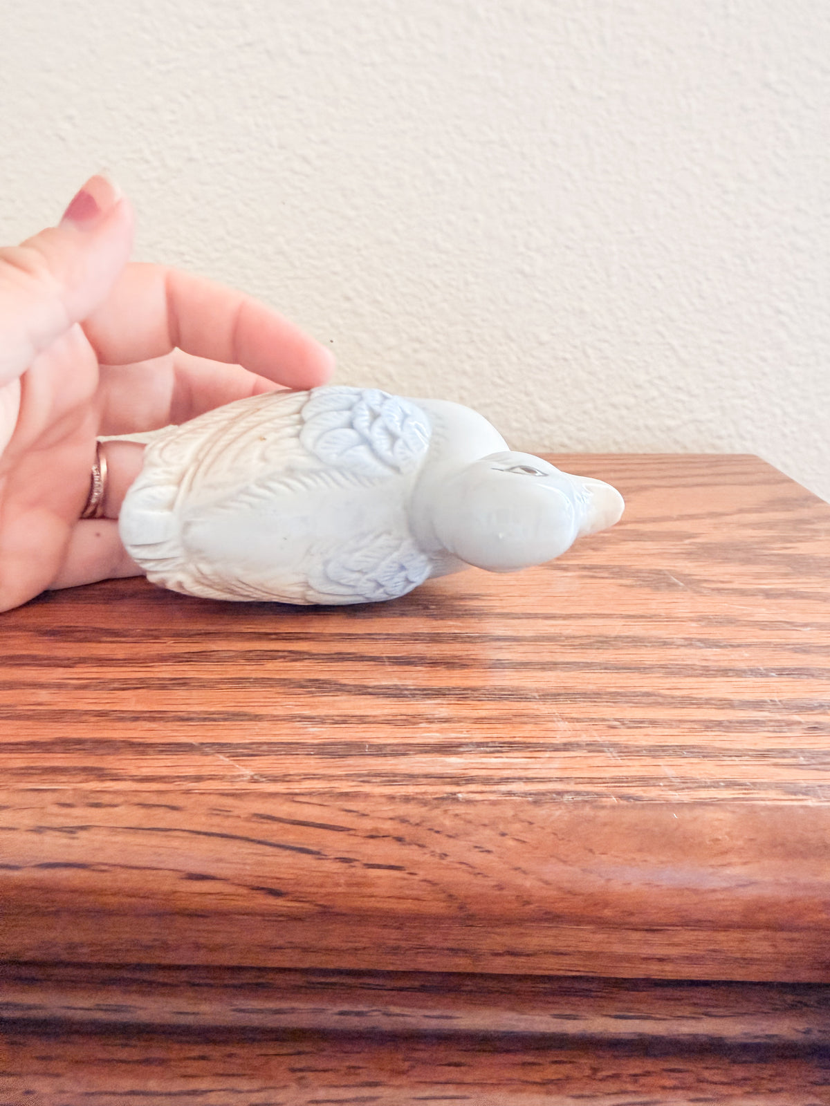 Little Porcelain Duck