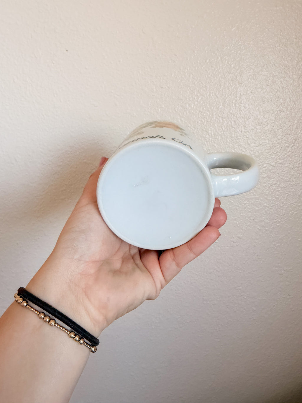 Vintage Savannah Mug