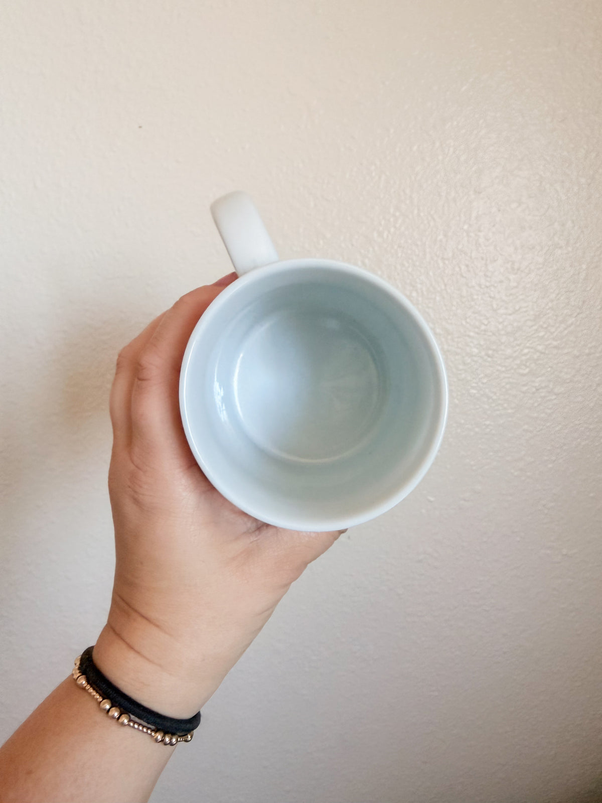 Vintage Savannah Mug