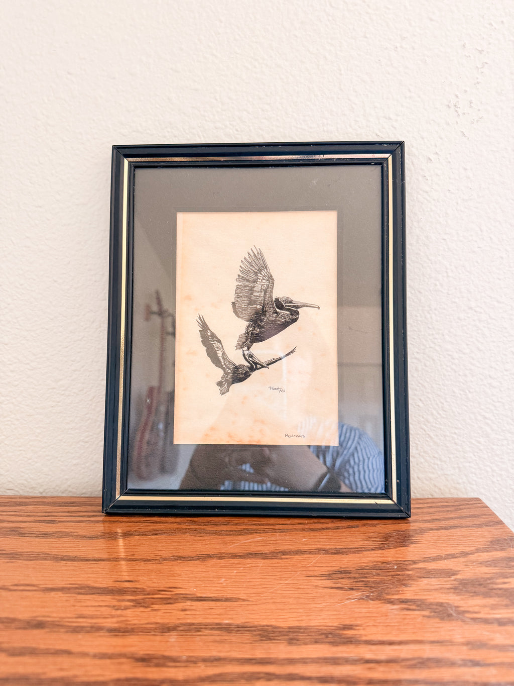 Framed Pelican Sketch