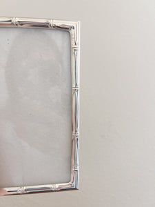 Silver Bamboo Frame