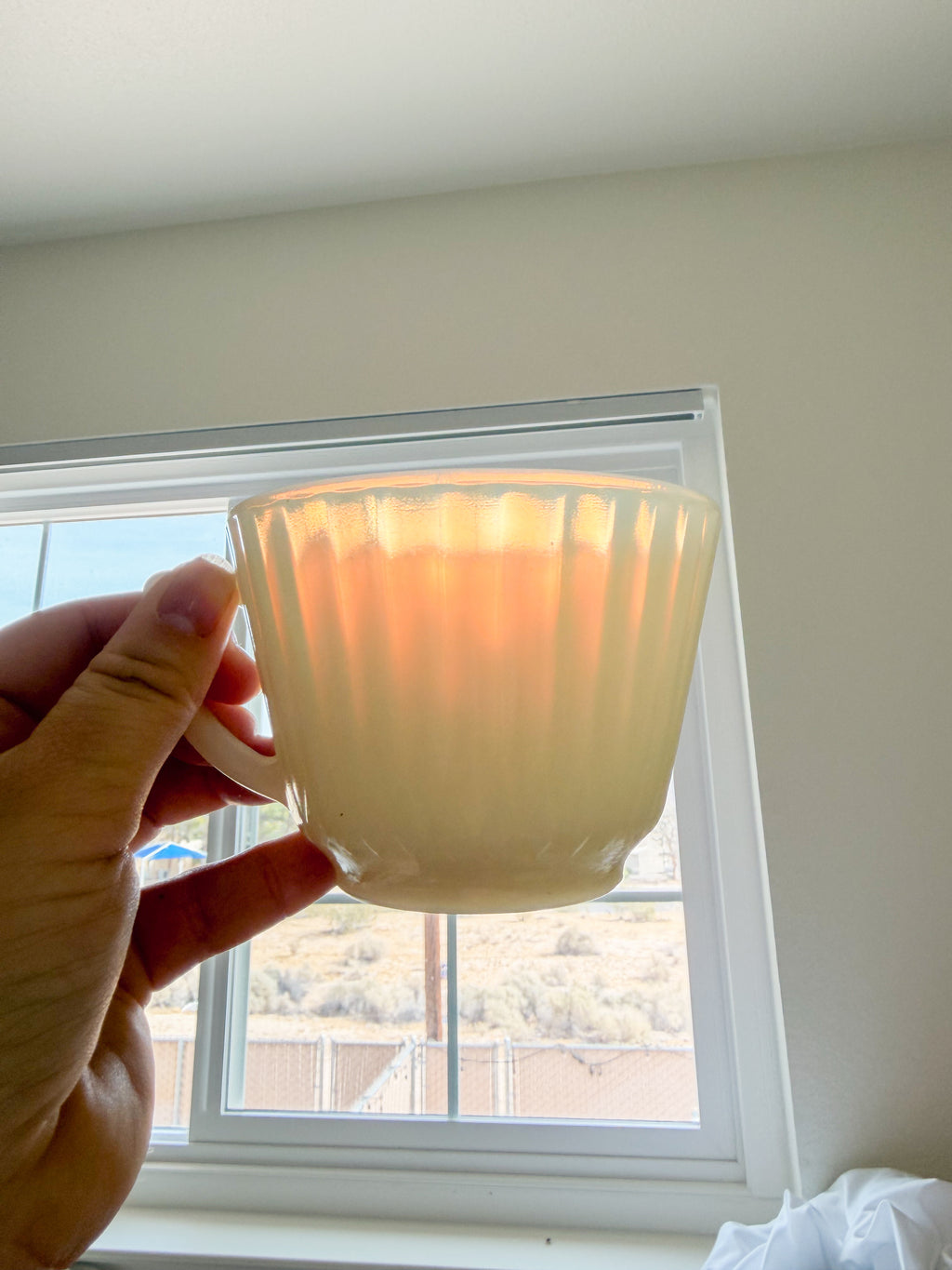Ivory Teacup Set