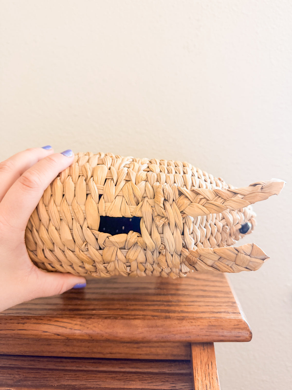 Wicker Piggy Bank