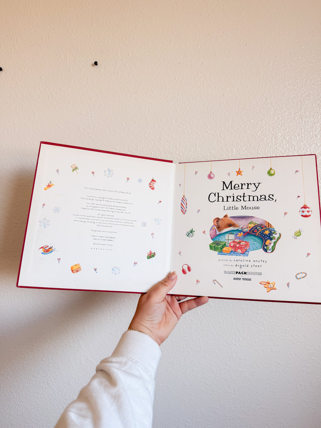 Merry Christmas Little Mouse