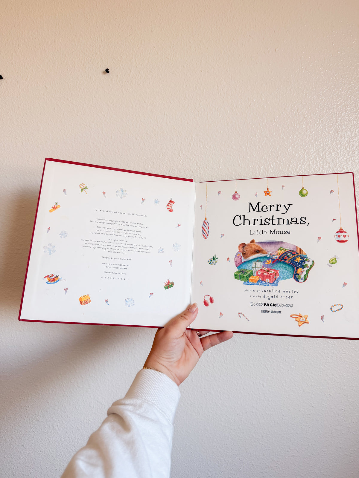 Merry Christmas Little Mouse