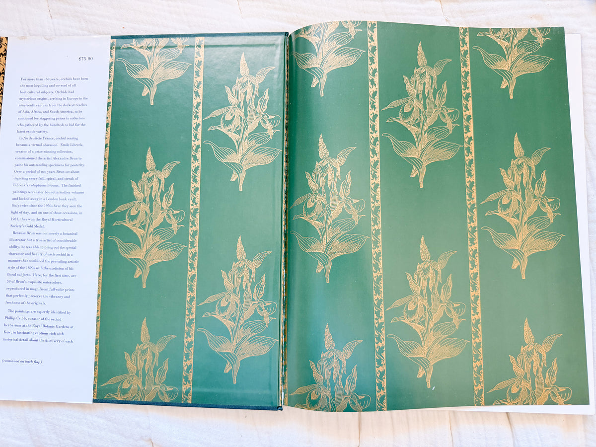 The Forgotten Orchids Book