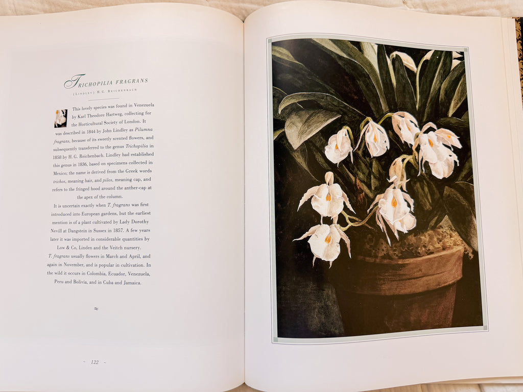 The Forgotten Orchids Book