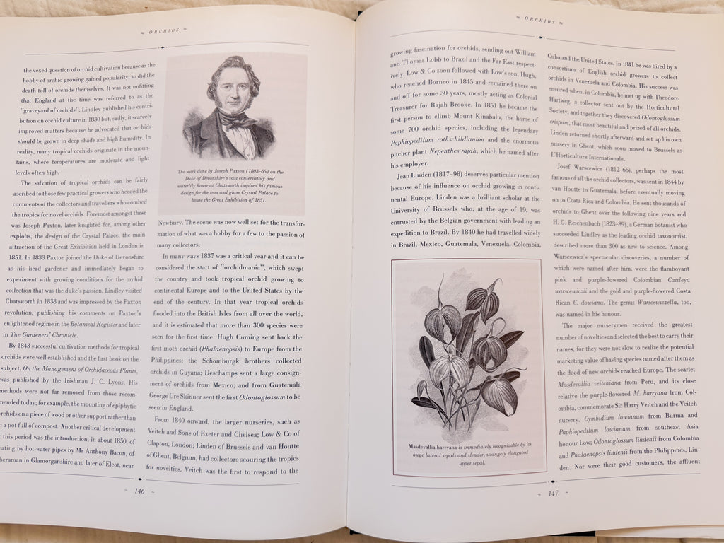 The Forgotten Orchids Book