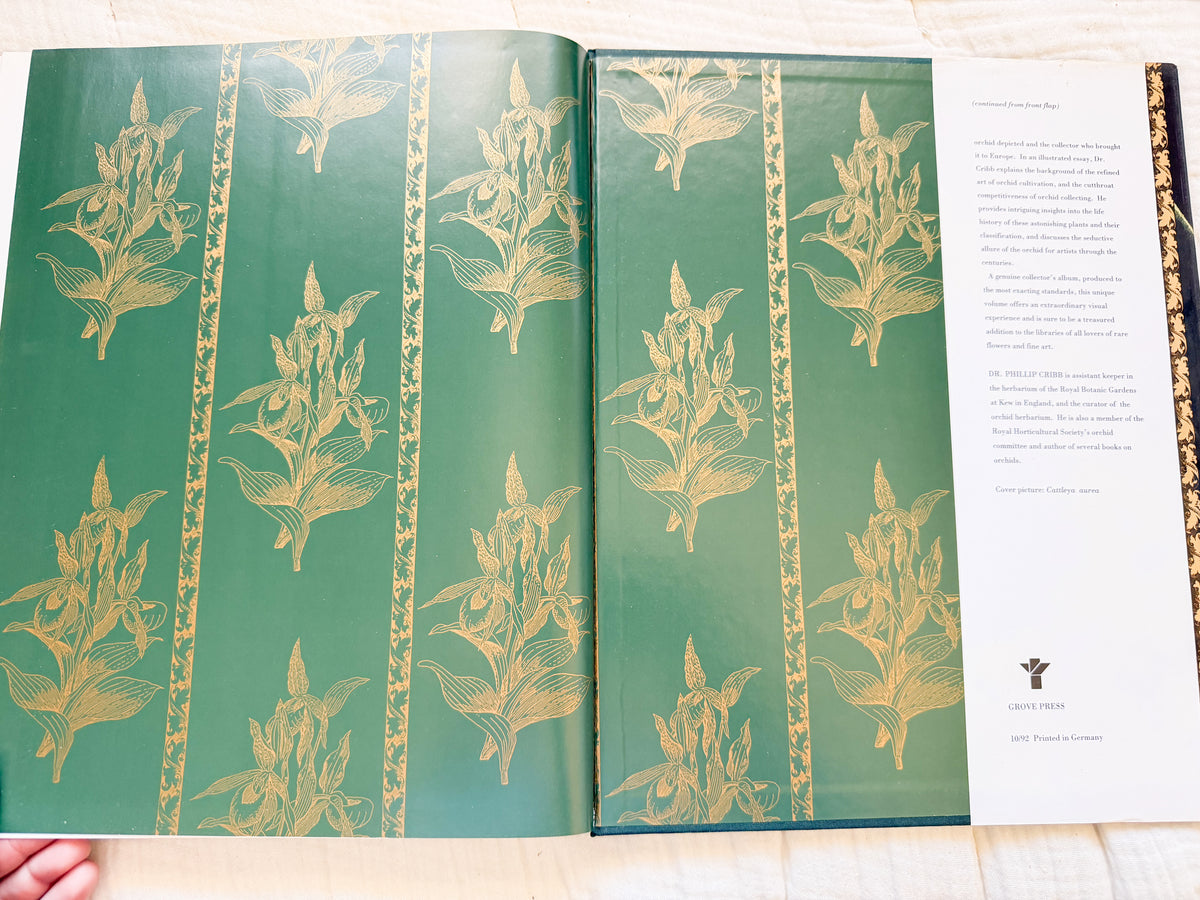 The Forgotten Orchids Book