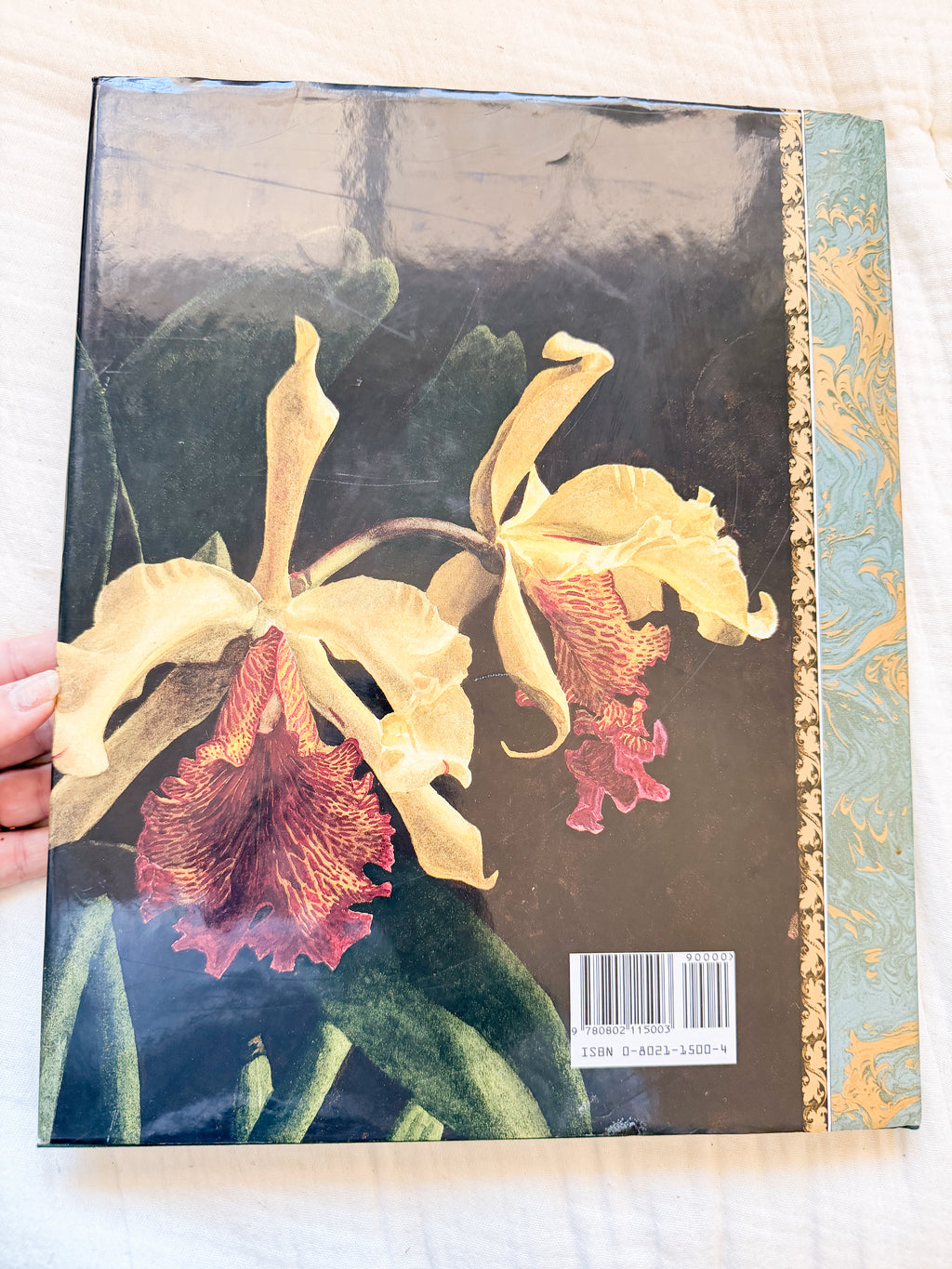 The Forgotten Orchids Book