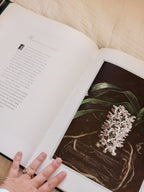 The Forgotten Orchids Book