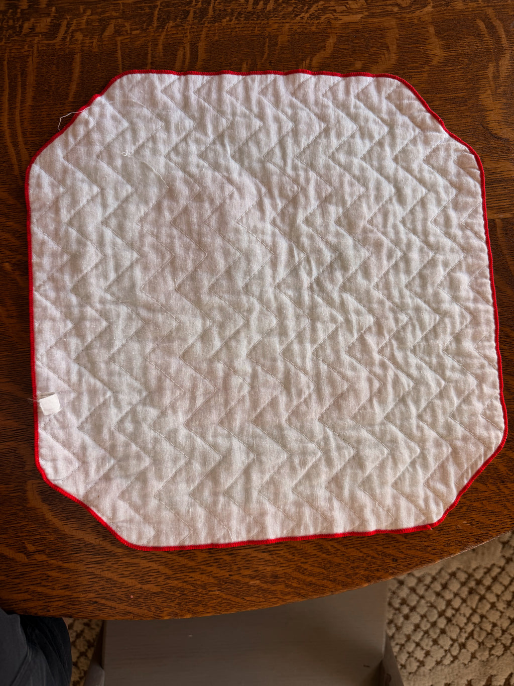 Christmas Goose Placemats (7)