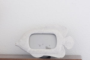 Stone Fish Frame