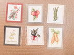 Vintage Vegetable Prints