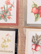 Vintage Vegetable Prints
